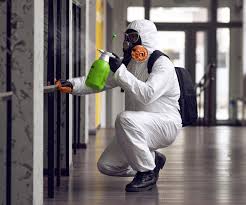 Best Mold Removal for HVAC Installations in USA